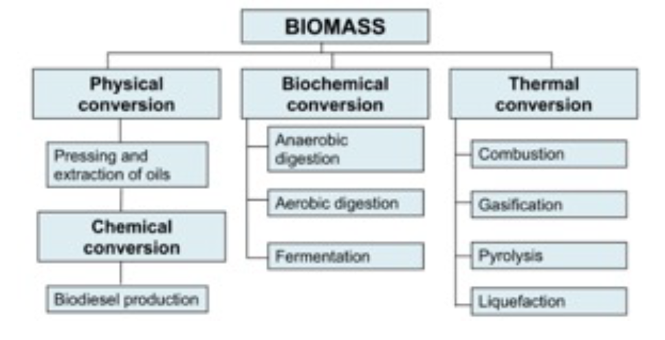 Categories of Standard Biomass Conversion