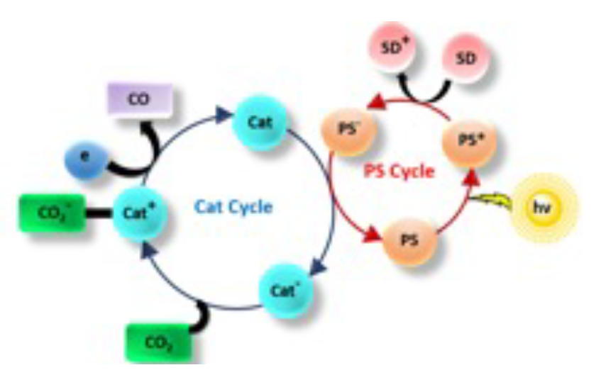 Photocatalytic Reduction of CO2 to CO