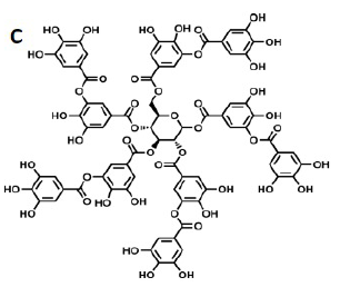 Tannin Compound